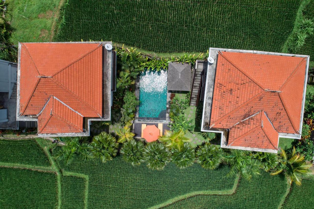 Cenik Villa Ubud Exterior foto